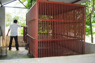 Sẽ xử lý hình sự hành vi giết con gấu cắn nát tay cháu bé?