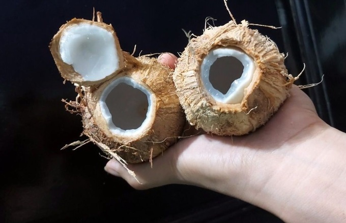 Dừa xiêm 3 lạng gọt trọc lóc giá 7.000 đồng đắt khách, bán nghìn quả trong nắng nóng - Ảnh 2. Dừa xiêm 3 lạng gọt trọc lóc giá 7.000 đồng đắt khách, bán nghìn quả trong nắng nóng - Ảnh 2.