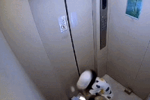 Clip "cô gái suýt chết vì sự cố bất ngờ khi đi thang máy" nổi bật tuần qua