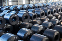 Thép cán nóng giá rẻ tràn vào Việt Nam: Cần điều tra chống bán phá giá