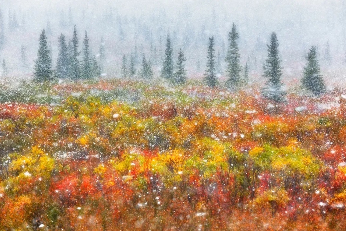 Bộ ảnh chụp người thợ đóng giày 90 tuổi tại Việt Nam gây chú ý - 6