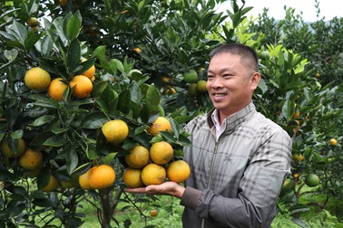 Cú "lột xác" của người nghiện ma túy thành ông chủ vườn rừng bạc tỷ