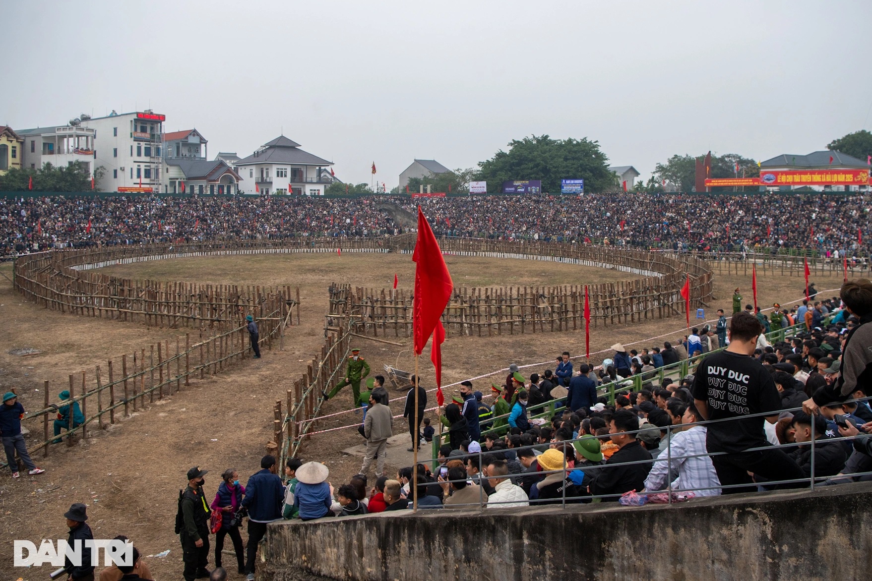 View - Lễ hội chọi trâu Hải Lựu 2025: Cuộc so tài kịch tính giữa những "ông Cầu" | Báo Dân trí