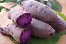 Chỉ cần ăn 5 loại thực phẩm này đều đặn mỗi sáng, ung thư ruột kết nguy hiểm cũng “lánh xa” bạn