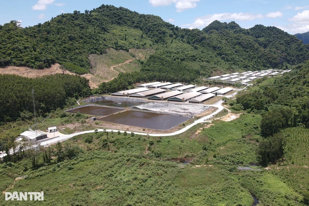 Quảng Bình: Trang trại lợn phát tán mùi hôi, dân phải đeo khẩu trang đi ngủ - 1 Quảng Bình: Trang trại lợn phát tán mùi hôi, dân phải đeo khẩu trang đi ngủ - 1