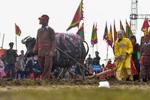 “Vua” xuống ruộng đi cày đầu năm mới, cầu mùa màng bội thu