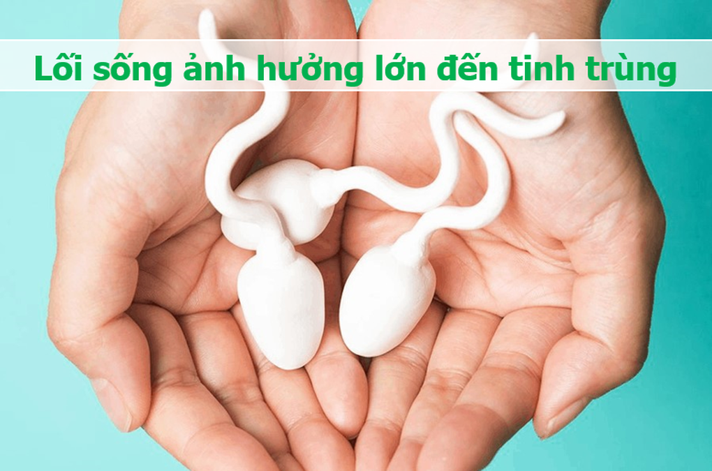 Tinh trùng và những điều bất ngờ: Vẫy đuôi 20 lần/giây, mất 70 ngày để lớn - 3 Tinh trùng và những điều bất ngờ: Vẫy đuôi 20 lần/giây, mất 70 ngày để lớn - 3