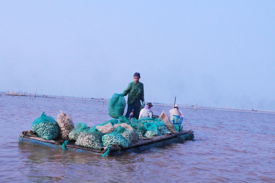 Dân bức xúc vì chính quyền quản lý “lỏng lẻo” đất đai bãi bồi ven biển Kim Sơn - 2 Dân bức xúc vì chính quyền quản lý “lỏng lẻo” đất đai bãi bồi ven biển Kim Sơn - 2