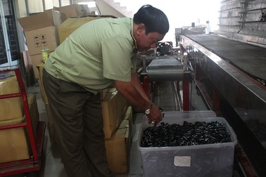 Phát hiện 9 tấn bánh kẹo "quá đát" chuẩn bị tung ra thị trường