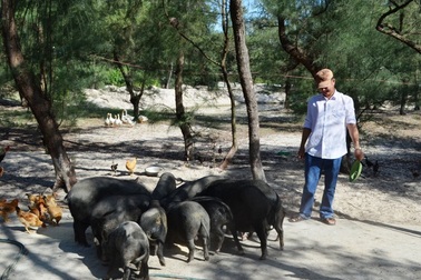 Một năm sau sự cố Formosa: Nhiều mô hình kinh tế đang hình thành trên cát