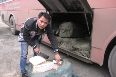 Hơn 1 tấn mỡ lợn thối “ém mình” trên xe khách