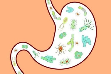 Không lo loạn khuẩn đường ruột ở trẻ em vì đã có BEBUGOLD!