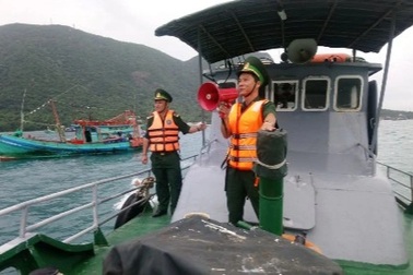 TPHCM, Đồng Nai, Lâm Đồng cảnh giác cao độ trước bão Koto