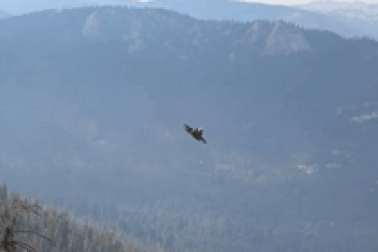 Màn trình diễn ngoạn mục của máy bay chiến đấu F-35 trong chế độ "quái thú"