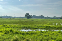 Khu "đất vàng" hơn 451 tỷ đồng, vượt giá khởi điểm gần 100 triệu đồng