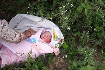 Bé gái 2 ngày tuổi bị bỏ rơi trong rừng