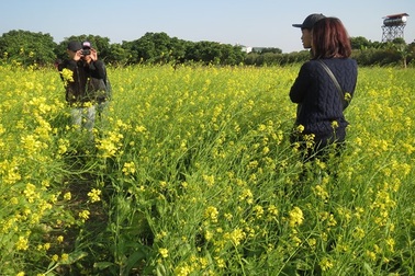 Kiếm gần 10 triệu đồng/ngày nhờ dịch vụ... chụp ảnh vườn cải 