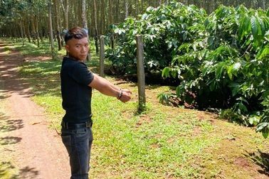 Mới ra tù, nam thanh niên liên tiếp thực hiện 7 vụ trộm xe máy