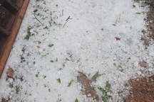 Mưa đá, lốc xoáy càn quét làm hàng trăm ngôi nhà hư hỏng