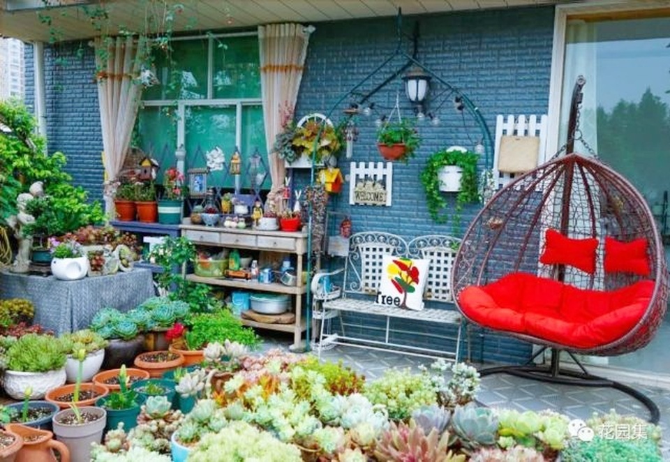 Trồng hoa trên sân thượng, cô gái tạo ra khu vườn cổ tích vạn người mê - 8 Trồng hoa trên sân thượng, cô gái tạo ra khu vườn cổ tích vạn người mê - 8