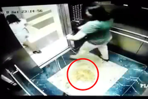 Đi vệ sinh bừa bãi ở nơi công cộng bị phạt đến 250.000 đồng