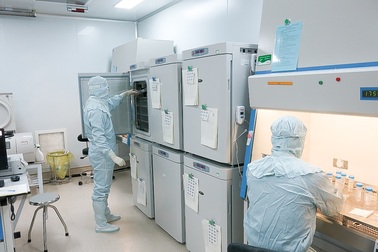 Vinmec triển khai liệu pháp miễn dịch tự thân và nhiệt trị kết hợp điều trị ung thư