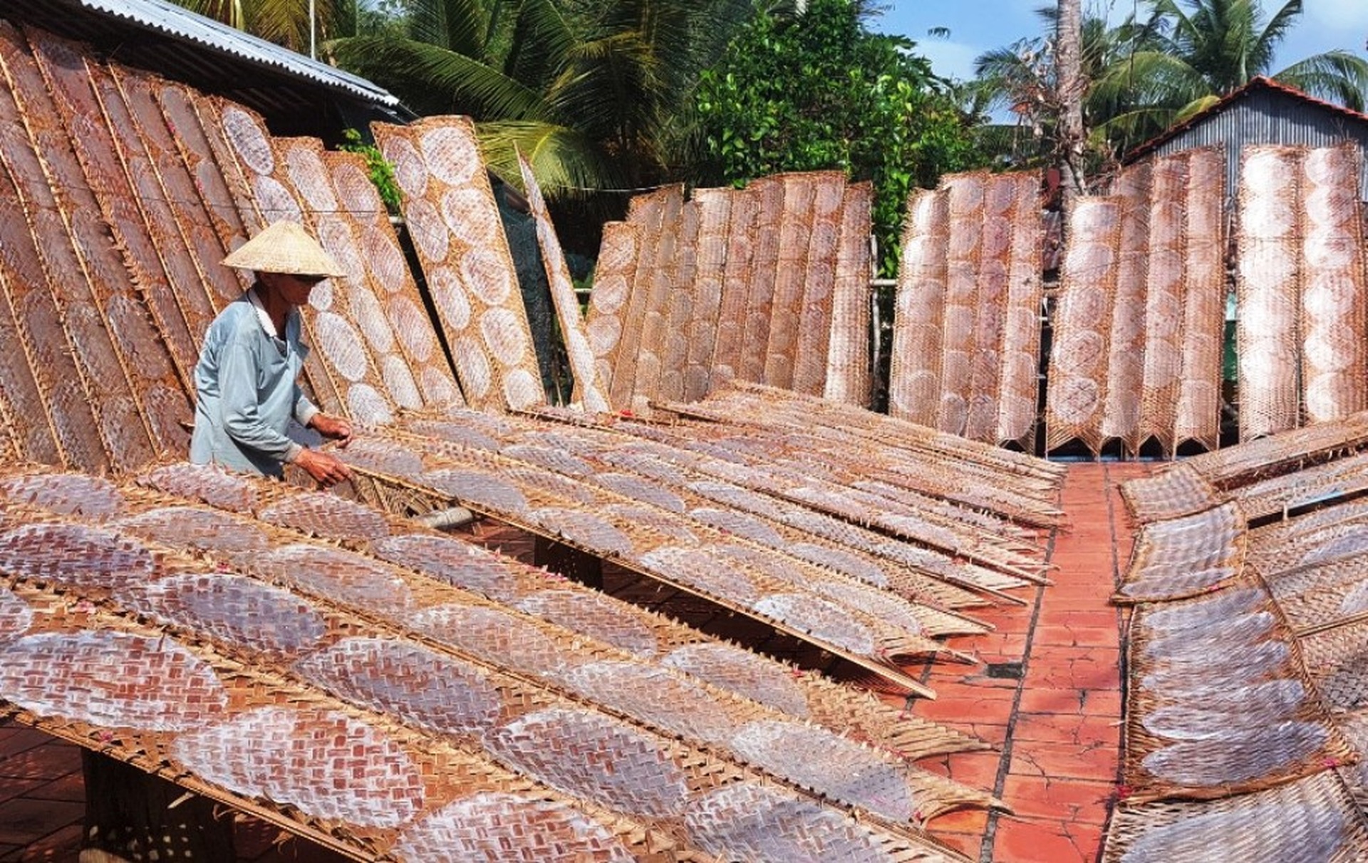 Làng nghề bánh tráng 100 tuổi tất bật những ngày giáp Tết - 5 Làng nghề bánh tráng 100 tuổi tất bật những ngày giáp Tết - 5