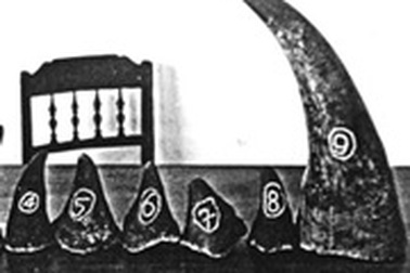 Lãnh đạo tỉnh Quảng trị “lờ” ý kiến của Thủ tướng