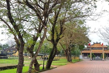 Chuyển Bảo tàng Lịch sử Thừa Thiên Huế đến nơi mới vào 2019