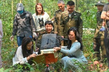 Hàng trăm gà lôi trắng được nhân giống, tái thả ở Vườn quốc gia Cúc Phương