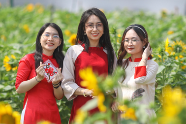 Hãy gửi trao nhau lời chúc Tết ý nghĩa trong khoảnh khắc giao thừa