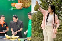 Khách hủy đơn sầu riêng sau phiên livestream của TikToker Hằng Du Mục