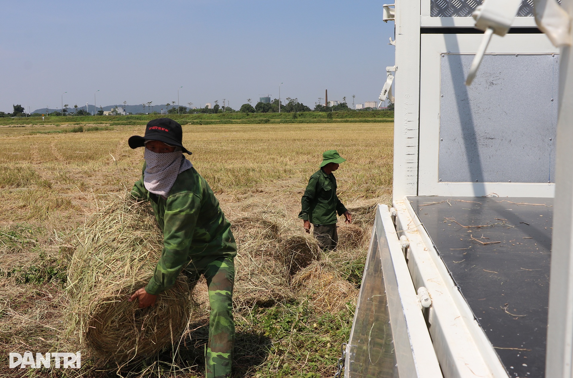 Cướp nắng với trời, kiếm mỗi ngày cả triệu đồng - 10 Cướp nắng với trời, kiếm mỗi ngày cả triệu đồng - 10