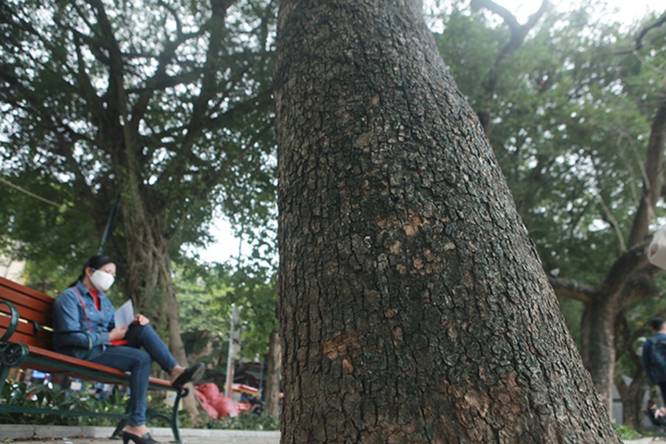 Hà Nội: Những “khối vàng lộ thiên” ven Hồ Gươm - 8 Hà Nội: Những “khối vàng lộ thiên” ven Hồ Gươm - 8