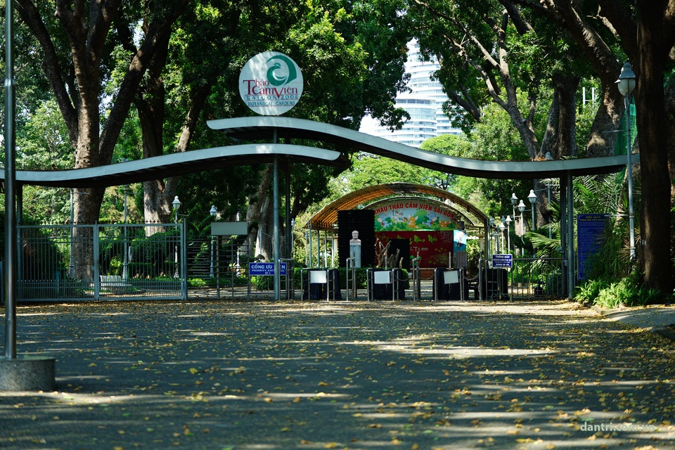 Người Sài Gòn đồng lòng sống “14 ngày vàng” chống dịch - 12 Người Sài Gòn đồng lòng sống “14 ngày vàng” chống dịch - 12