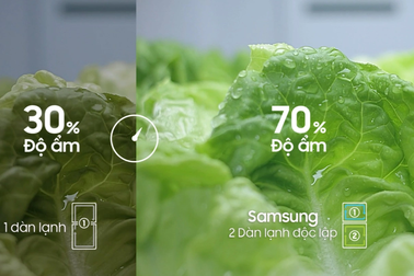 Công nghệ thông minh giữ thức ăn tươi ngon của tủ lạnh Samsung