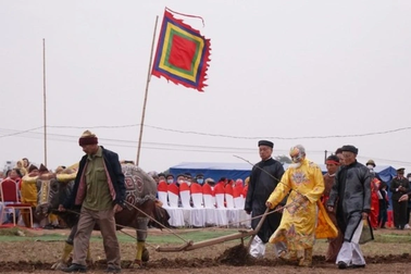 Đầu năm "vua" xuống ruộng đi cày