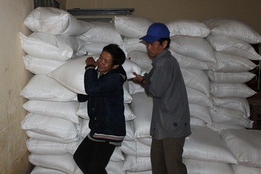 Chính phủ "phân bổ" 700 tấn gạo hỗ trợ cứu đói mùa giáp hạt