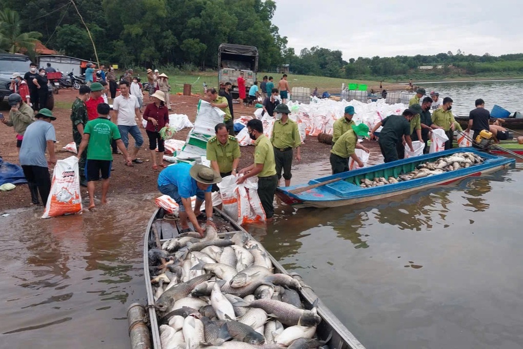 Hơn 100 tấn cá chết ở Đồng Nai - 1