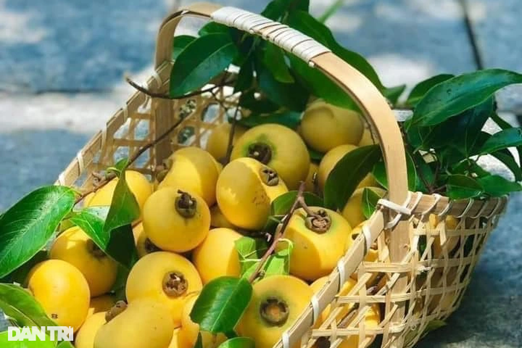 Cốm, sấu chín, quả thị giá cao vẫn đắt hàng - 4 Cốm, sấu chín, quả thị giá cao vẫn đắt hàng - 4