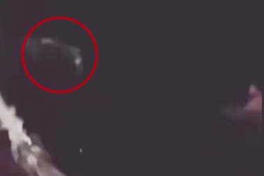 Khoảnh khắc nam sinh bị cá mập đoạt mạng khi nhảy từ du thuyền xuống biển