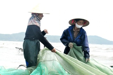 Thanh Hóa: Hơn 250.000 lao động có việc làm thường xuyên