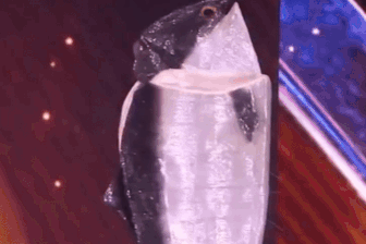 Màn biến hình độc lạ của người đẹp Na Uy gây sốt Hoa hậu Hoàn vũ 2025