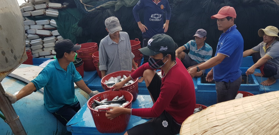 Quảng Trị: Ngư dân thu gần trăm triệu đồng nhờ trúng “lộc biển” đầu năm - 1 Quảng Trị: Ngư dân thu gần trăm triệu đồng nhờ trúng “lộc biển” đầu năm - 1