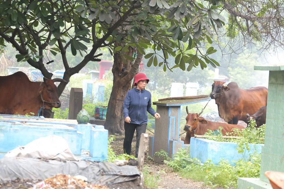 Nghĩa trang lớn nhất TPHCM chuyển mình: Từ nơi yên nghỉ đến hồi sinh - 6 Nghĩa trang lớn nhất TPHCM chuyển mình: Từ nơi yên nghỉ đến hồi sinh - 6
