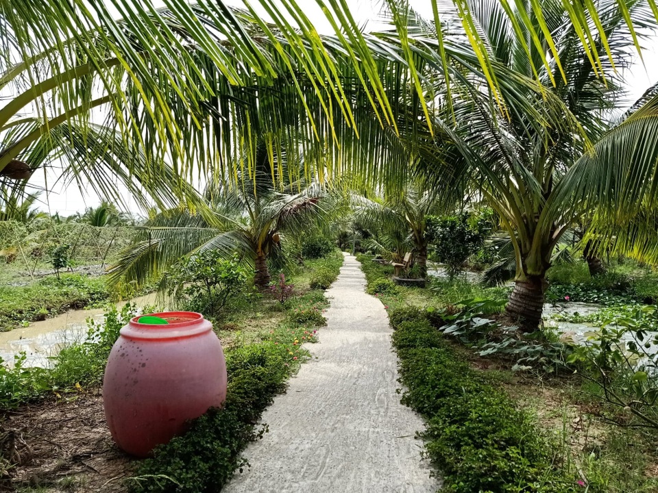 Chán thành thị, du khách tìm về miệt vườn ngắm cảnh, câu cá đầu năm mới - 2 Chán thành thị, du khách tìm về miệt vườn ngắm cảnh, câu cá đầu năm mới - 2
