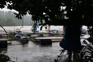 Vụ người nuôi cá bè thiệt hại nặng do xả lũ: Tại dân chủ quan?