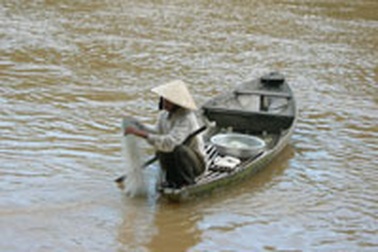 Ngược sông Yên “săn” cá mòi