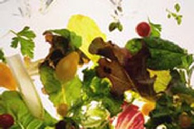 Khỏe hơn nhờ ăn sa lát mỗi ngày