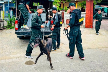 Huy động chó nghiệp vụ tìm cụ bà 87 tuổi mất tích ở xã đảo